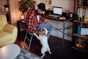 Freelancer Working from Home and Playing with his Dog